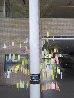 image2.jpg